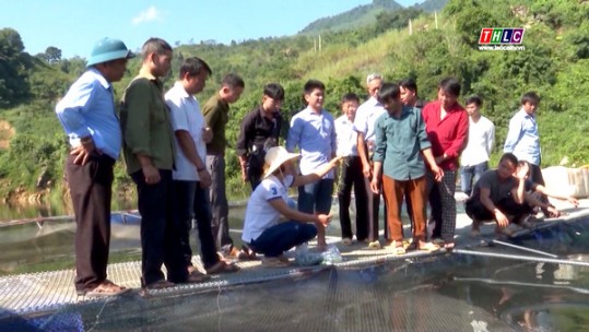 Nông dân Lào Cai xây dựng các mô hình khuyến nông hiệu quả