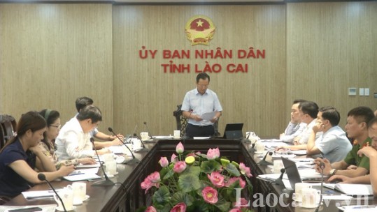 Lào Cai phấn đấu kết thúc năm 2025 sẽ tăng độ che phủ rừng lên 60%