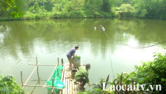 Lào Cai có thêm gần 2.650 hộ thoát nghèo