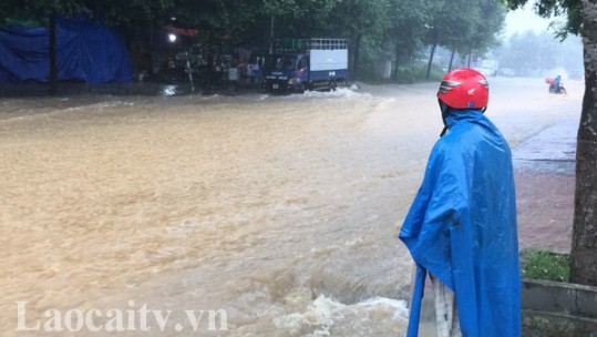 Lào Cai: Mưa lớn gây thiệt hại ở nhiều địa phương