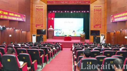 Triển khai kế hoạch sản xuất vụ đông và công tác chống đói rét cho đàn gia súc