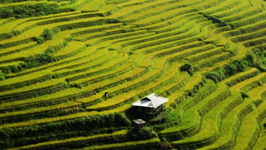 Đánh thức tiềm năng du lịch Bản Liền