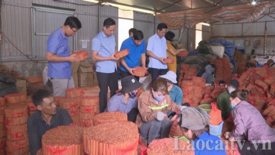 Đánh giá lần 1 cho 6 sản phẩm đăng ký dự thi OCOP năm 2020 huyện Bảo Thắng