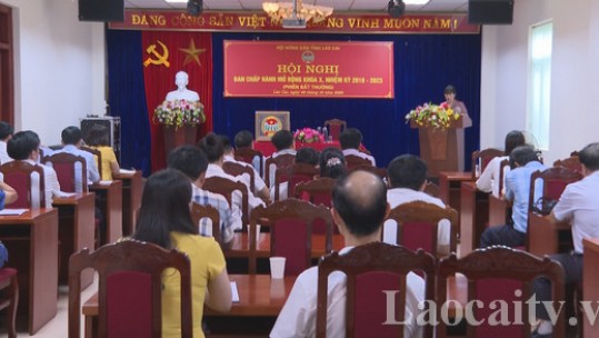 Bầu bổ sung ủy viên BCH, BTV Hội Nông dân tỉnh khóa X, nhiệm kỳ 2018 - 2023