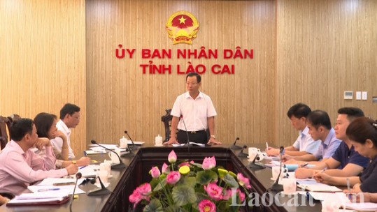 Ngân hàng Chính sách xã hội tỉnh Lào Cai duy trì tăng trưởng tín dụng trong top đầu các tỉnh khu vực Tây Bắc