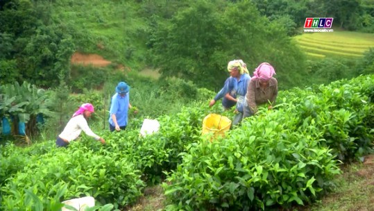 Thi đua phát triển kinh tế hướng về đại hội