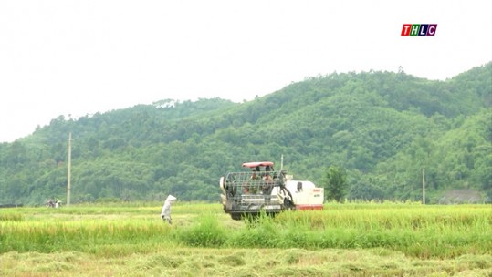 Cơ bản đạt chỉ tiêu Nghị quyết 26 của Tỉnh ủy