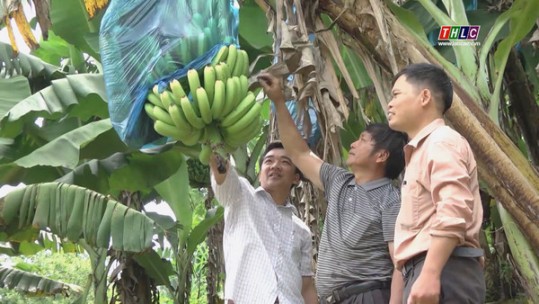 Người bí thư chi bộ tận tụy, gương mẫu ở bản Mông