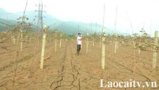 Người dân xã Quang Kim chủ động khôi phục sản xuất sau thiên tai
