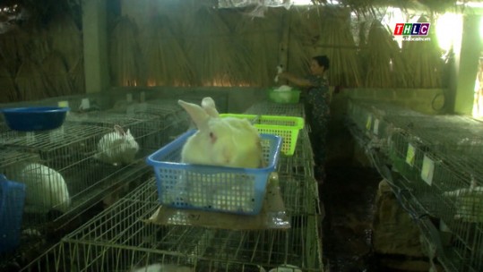 Phụ nữ Tả Phời năng động phát triển kinh tế