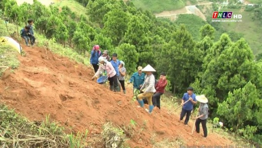 Triển khai có hiệu quả Nghị quyết số 09 về phát triển lâm nghiệp bền vững