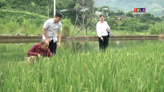 Đẩy mạnh ứng dụng tiến bộ khoa học vào thực tiễn sản xuất