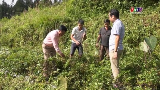 Lợi ích kép từ chuyển dịch cơ cấu kinh tế