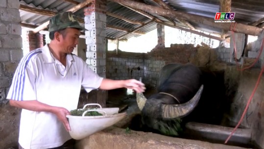 Chương trình 135 góp phần cải thiện đời sống vùng đồng bào dân tộc thiểu số