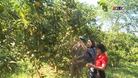 Cốc San tích cực chuyển dịch cơ cấu cây trồng