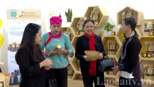 Sa Pa sớm đưa nghị quyết Đại hội Đảng các cấp vào cuộc sống
