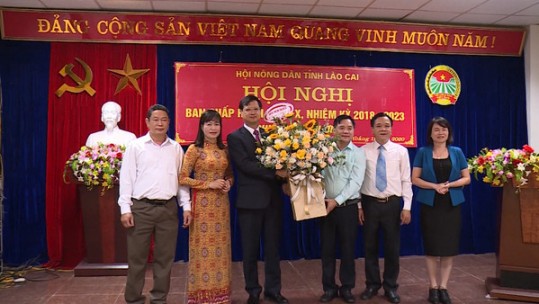 Bầu bổ sung Ủy viên BCH, BTV, chức danh Chủ tịch Hội Nông dân tỉnh khóa X, nhiệm kỳ 2018-2023