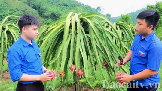 Khơi dậy sức trẻ từ phong trào Thanh niên lập thân, lập nghiệp