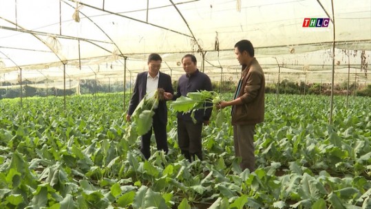 Ngành Nông nghiệp đẩy nhanh tiến độ hoàn thành nhiệm vụ năm 2020