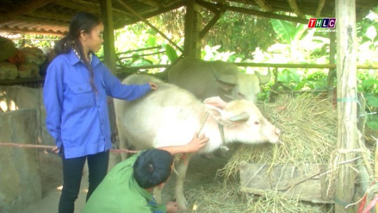 Mang sinh kế đến với hộ nghèo