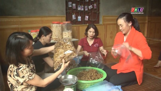 Phụ nữ vùng cao phát huy vai trò trong phát triển kinh tế