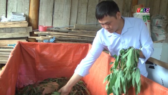 Phát huy sức trẻ trong phát triển kinh tế
