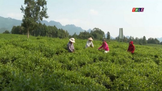 Mường Khương phát huy hiệu quả các nguồn lực trong giảm nghèo