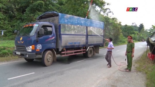 Lào Cai cơ bản khống chế được dịch tả lợn châu Phi