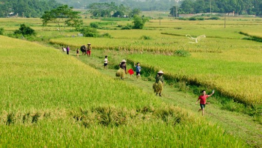 Thông điệp Chương trình nước sạch và vệ sinh môi trường nông thôn