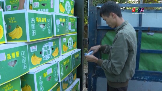 Phìn Ngan - Đổi đời nhờ cây chuối