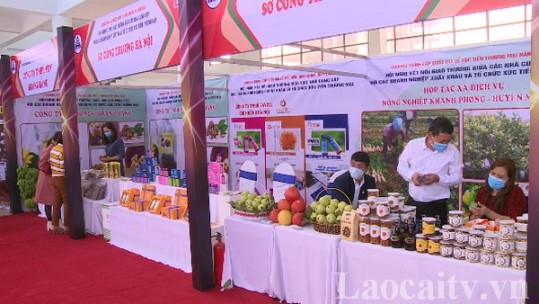 Kết nối giao thương giữa nhà cung cấp với các doanh nghiệp xuất khẩu