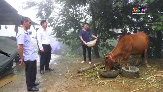 Nông dân Si Ma Cai thay đổi tư duy từ Nghị quyết 22