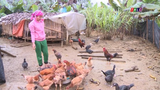 Cần nhân rộng mô hình nông nghiệp đảm bảo dinh dưỡng