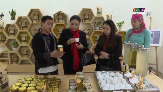 Thanh niên tiêu biểu vượt khó làm giàu