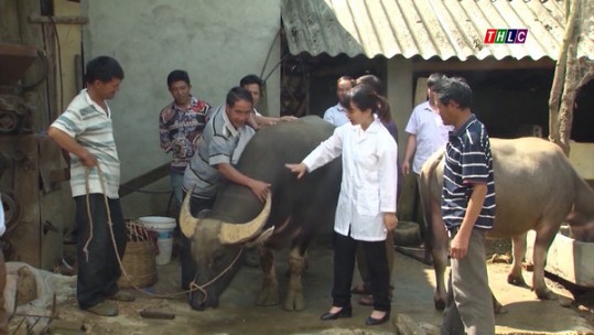 Nỗ lực đưa nghề về nông thôn