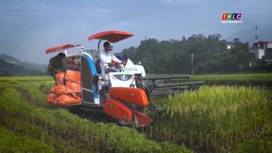 Lào Cai duy trì mức tăng trưởng ấn tượng