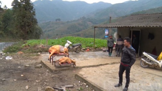 Những thiệt hại đầu tiên do băng tuyết gây ra