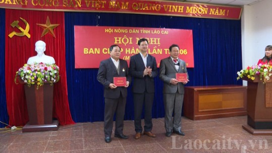 Tổng kết hội và phong trào nông dân tỉnh năm 2020