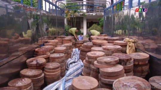 Xử lý gần 880 vụ vi phạm về kinh tế, môi trường