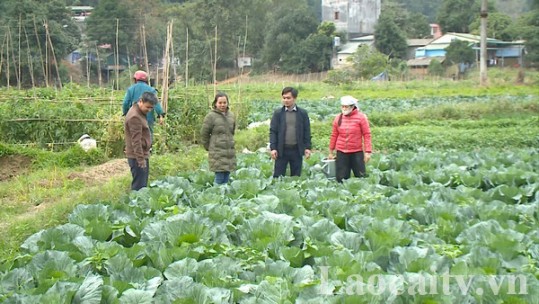 Tiếp cận khoa học công nghệ thông qua đào tạo nghề nông thôn