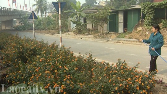Chỉnh trang đô thị đón Tết ở thị trấn Phố Lu, Bảo Thắng