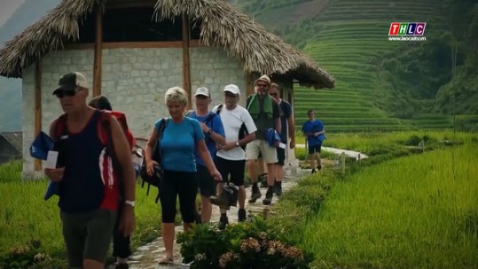 Giải pháp chuyển dịch cơ cấu kinh tế