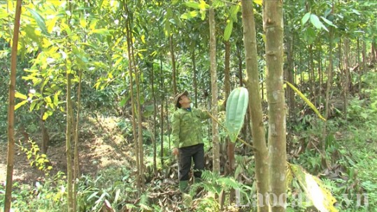 Đổi thay căn bản trong sản xuất nông nghiệp
