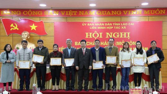 Liên minh Hợp tác xã tỉnh triển khai nhiệm vụ năm 2021