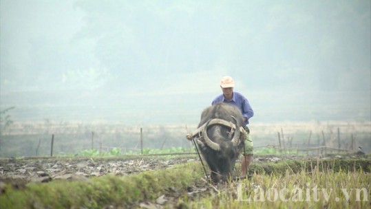 Nông dân Hợp Thành chuẩn bị các điều kiện cho sản xuất vụ xuân