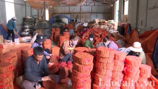 Phát triển sản phẩm tiêu biểu thành sản phẩm OCOP