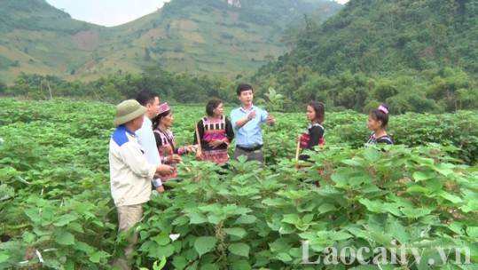 Nâng cao quyền năng kinh tế cho phụ nữ dân tộc thiểu số