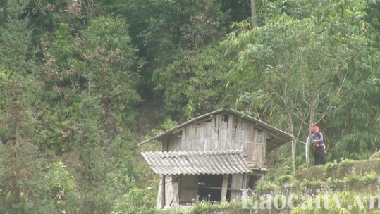 Hỗ trợ sắp xếp các điểm dân cư nông thôn