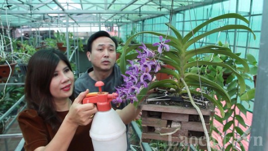Khi đàn ông làm việc nhà