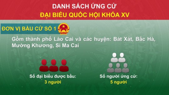 Danh sách ứng cử đại biểu Quốc hội - Đơn vị bầu cử số 1